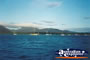 Cairns Harbour Boats . . . CLICK TO ENLARGE