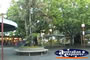 Outside Cairns Shops . . . CLICK TO ENLARGE