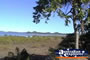 Cape Hillsborough National Park Mangroves . . . CLICK TO ENLARGE