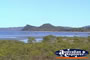 Mangroves at the Cape Hillsborough National Park . . . CLICK TO ENLARGE