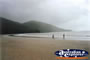 Cape Tribulation . . . CLICK TO ENLARGE