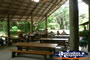 Eating area in Cape Tribulation . . . CLICK TO ENLARGE