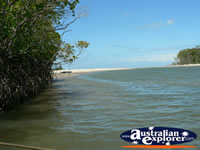Water in Cape Tribulation . . . CLICK TO ENLARGE