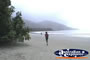 Beach at Cape Tribulation . . . CLICK TO ENLARGE