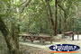 Cape Tribulation Picnic Area . . . CLICK TO ENLARGE