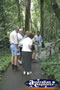 Cape Tribulation Boardwalk . . . CLICK TO ENLARGE