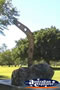 Charters Towers Lissner Park Monument
