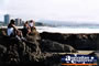 Coolangatta Point Danger