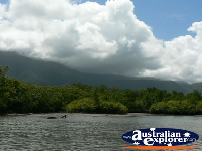 Great Shot of Coopers Creek Waterway . . . VIEW ALL COOPERS CREEK PHOTOGRAPHS