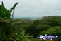 View of Coopers Creek . . . CLICK TO ENLARGE
