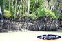 Coopers Creek Coastline . . . CLICK TO ENLARGE