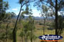 Cunningham Highway Natural Landscapre . . . CLICK TO ENLARGE