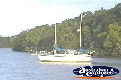 Boat On Daintree River . . . CLICK TO VIEW ALL DAINTREE RAINFOREST POSTCARDS