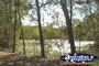 Edmund Kennedy National Park Creek . . . CLICK TO ENLARGE