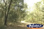 Edmund Kennedy National Park . . . CLICK TO ENLARGE