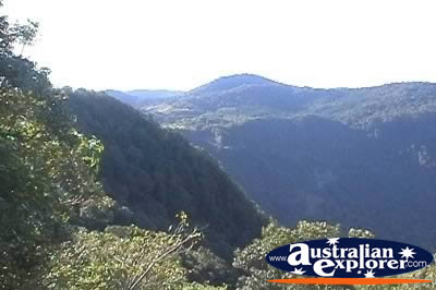Eungella National Park View . . . CLICK TO VIEW ALL EUNGELLA NP POSTCARDS