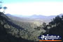 Eungella National Park . . . CLICK TO ENLARGE