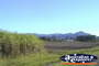 Eungella Sugar Farm . . . CLICK TO ENLARGE