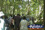 Fitzroy Island Rainforest Walk . . . CLICK TO ENLARGE