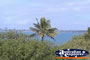 Fraser Coast Point Vernon . . . CLICK TO ENLARGE