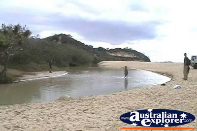 Fraser Island Eli Creek . . . CLICK TO VIEW ALL FRASER ISLAND (ELI CREEK) POSTCARDS