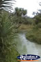 Fraser Island Eli Creek Close Up