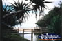 Fraser Island Eli Creek Bridge