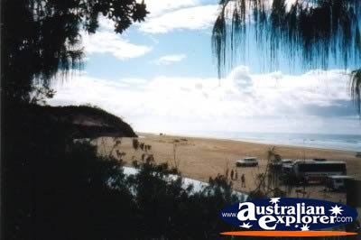 Fraser Island Eli Creek Lookout . . . CLICK TO VIEW ALL FRASER ISLAND (ELI CREEK) POSTCARDS