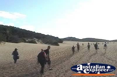 Fraser Island Lake Wabby Walking Trail . . . VIEW ALL FRASER ISLAND (LAKE WABBY) PHOTOGRAPHS