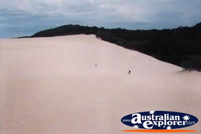 Fraser Island Lake Wabby Walking Trail In Distance . . . CLICK TO VIEW ALL FRASER ISLAND (LAKE WABBY) POSTCARDS