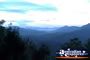 Gillies Range . . . CLICK TO ENLARGE