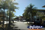 Gladstone Shops . . . CLICK TO ENLARGE