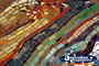 Tile Feature . . . CLICK TO ENLARGE
