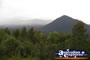 Rainy Lookout . . . CLICK TO ENLARGE