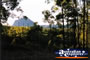 Glass House Mountains Far Away . . . CLICK TO ENLARGE