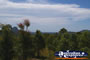 Glasshouse Mountain Trees . . . CLICK TO ENLARGE