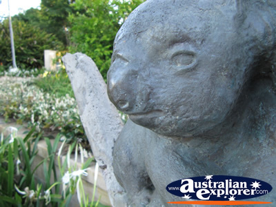 Koala Statue . . . VIEW ALL GOLD COAST BOTANIC GARDENS PHOTOGRAPHS
