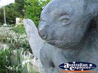 Koala Statue . . . CLICK TO ENLARGE