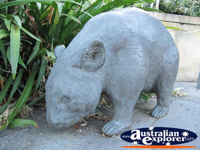 Wombat Statue . . . VIEW ALL GOLD COAST BOTANIC GARDENS PHOTOGRAPHS