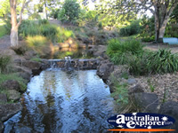Hidden Creeks at the Gold Coast Botanic Gardens . . . CLICK TO ENLARGE
