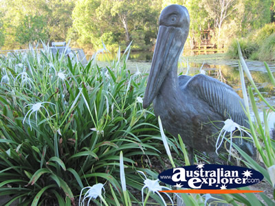Statue of a Pelican at Gold Coast Botanic Gardens