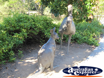 Australian Wildlife Statues . . . CLICK TO VIEW ALL GOLD COAST BOTANIC GARDENS POSTCARDS