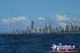 Gold Coast City . . . CLICK TO ENLARGE