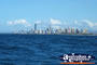 Gold coast City Buildings . . . CLICK TO ENLARGE