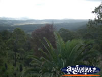 Gold Coast Hinterland View . . . CLICK TO ENLARGE