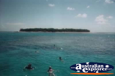 Island Off Great Barrier Reef . . . VIEW ALL GREAT BARRIER REEF PHOTOGRAPHS