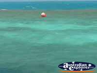 Great Barrier Reef Ocean . . . CLICK TO ENLARGE