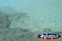Green Island Clear Water . . . CLICK TO ENLARGE