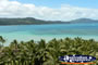 Palm Trees on Hamilton Island . . . CLICK TO ENLARGE