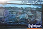 Herberton Wall Mural . . . CLICK TO ENLARGE